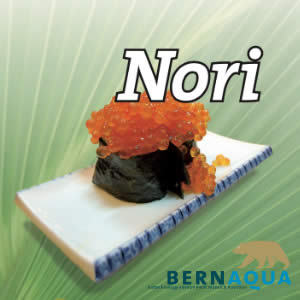 Nori – Bernaqua