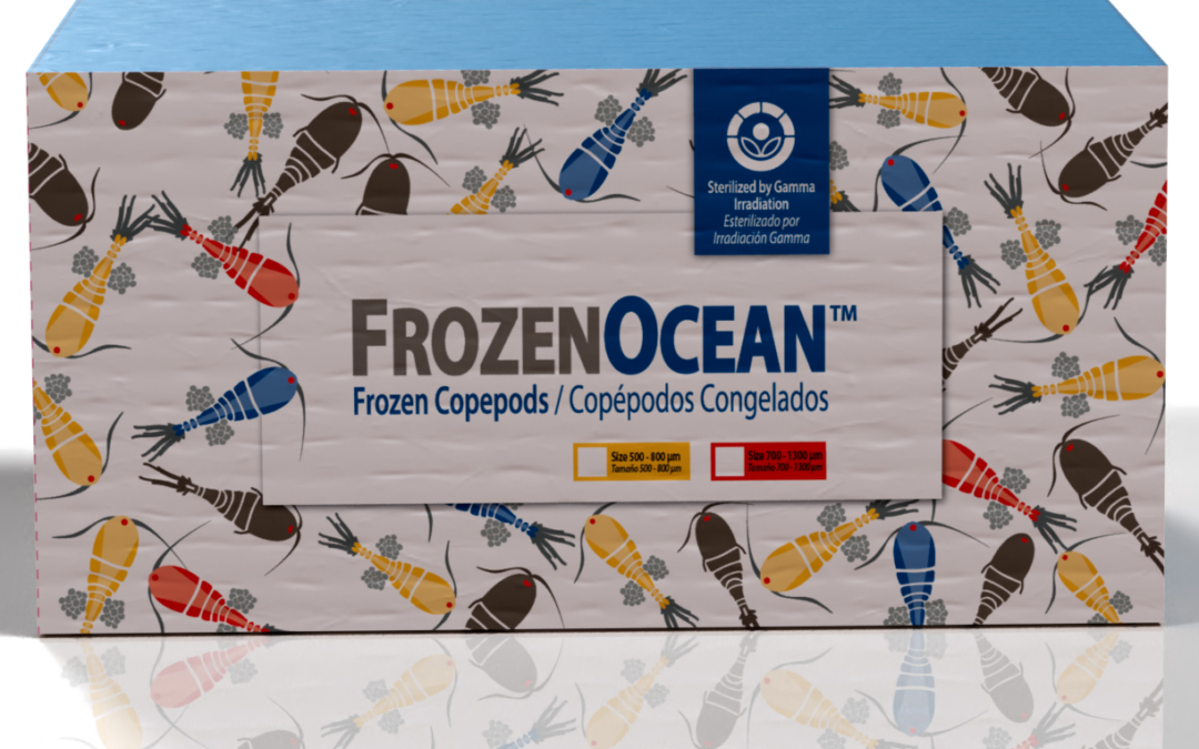 Frozen Ocean – Copepods