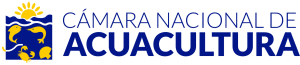 logoRecurso-1logo-300x65-1